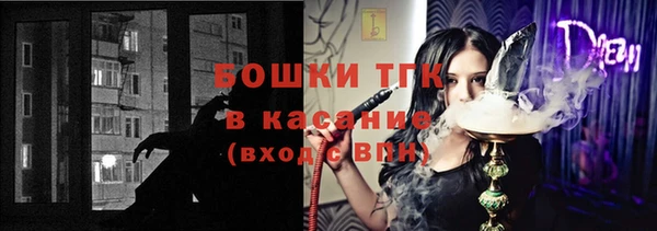 дживик Арсеньев