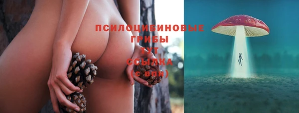 дживик Арсеньев