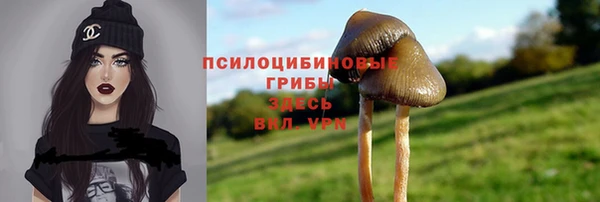 a pvp Армянск