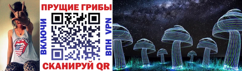 MEGA вход  даркнет телеграм  Галлюциногенные грибы MAGIC MUSHROOMS  Татарск 